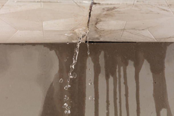 Professional Structural Drying technician working in Lawton, MI